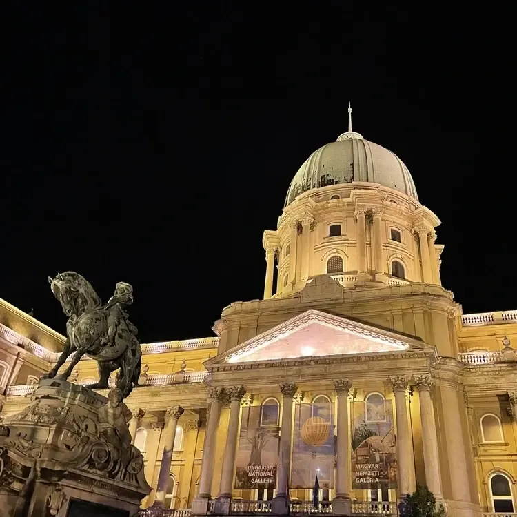 Buda Castle and the Hungarian National Gallery lit up at night in Budapest