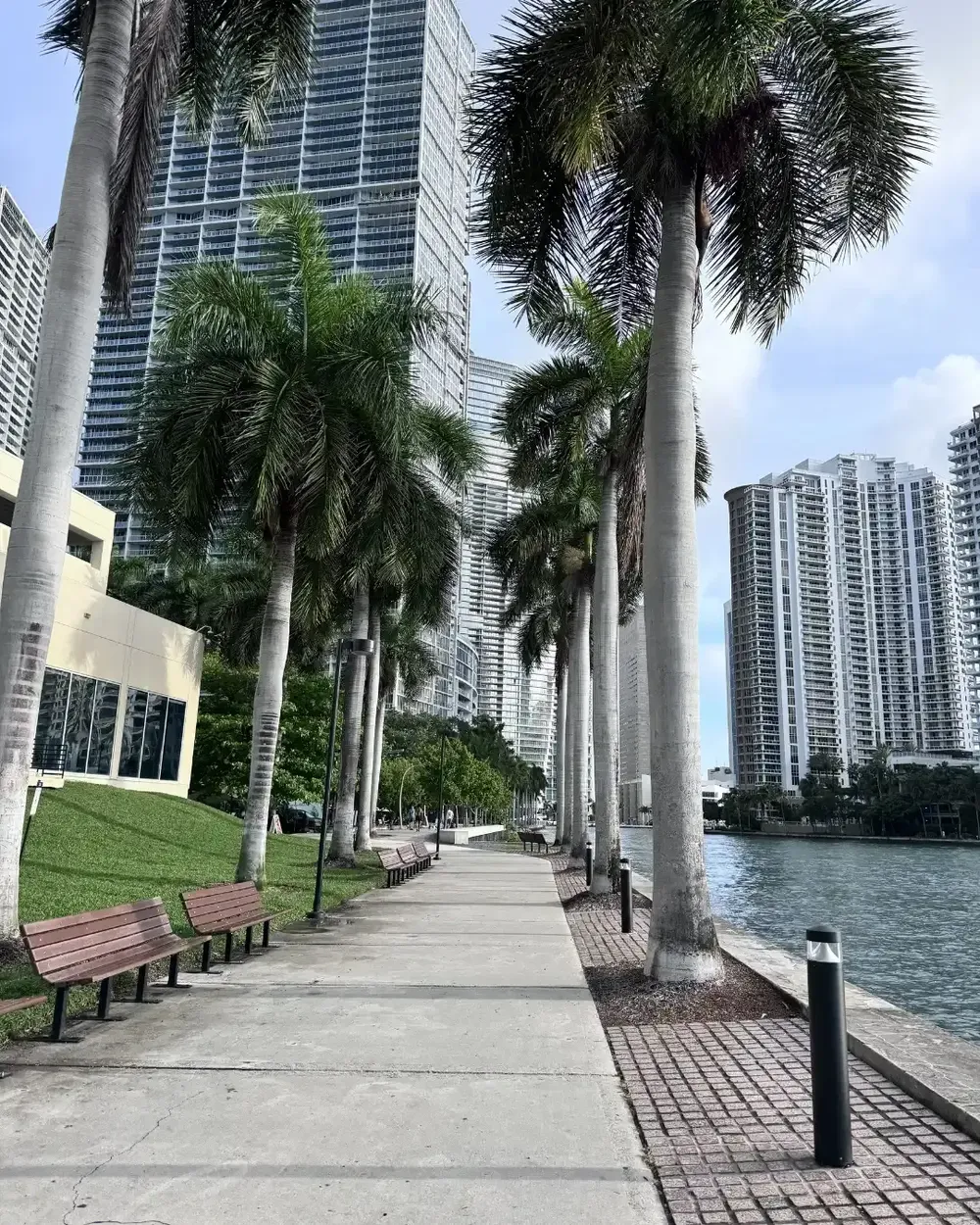 Brickell riverwalk with palm trees and high-rise towers along the Miami River